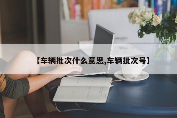 【车辆批次什么意思,车辆批次号】