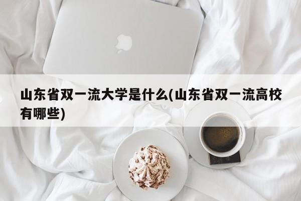 山东省双一流大学是什么(山东省双一流高校有哪些)