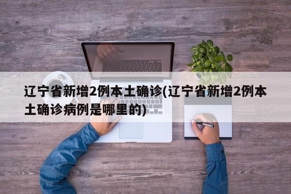 辽宁省新增2例本土确诊(辽宁省新增2例本土确诊病例是哪里的)